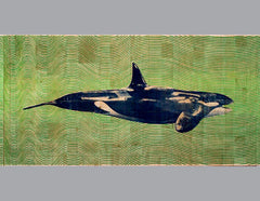 Orca Balsa